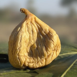 Büyük boy kuru incir