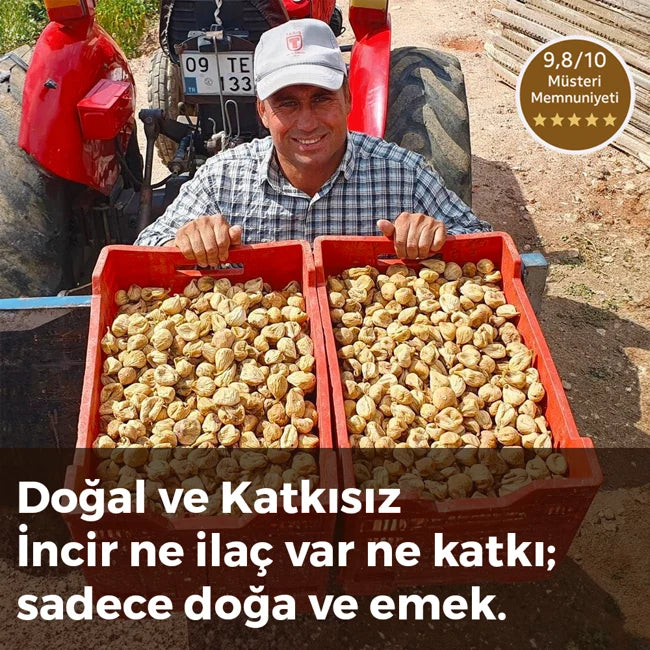 İncirler