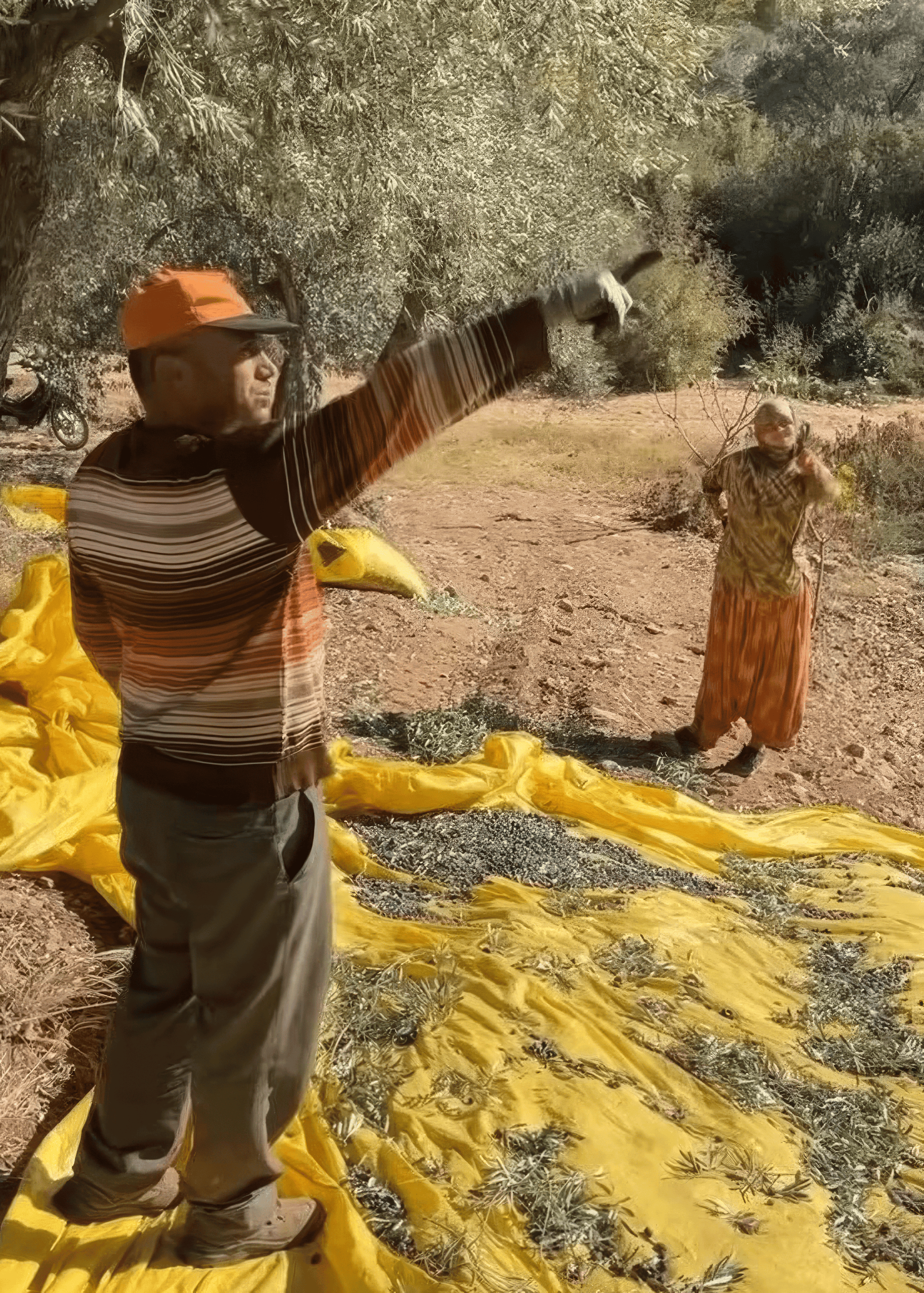 Nedim Yıldız Naturel Sızma Zeytinyağı Şişe Görsel