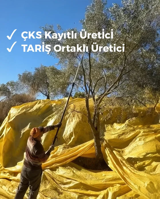 Erken Hasat Zeytinyağı Besin Değerleri Kartı