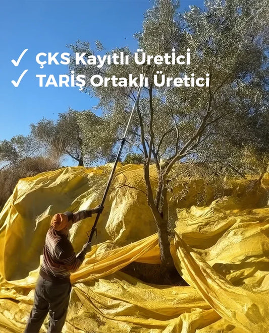 Erken Hasat Zeytinyağı Besin Değerleri Kartı