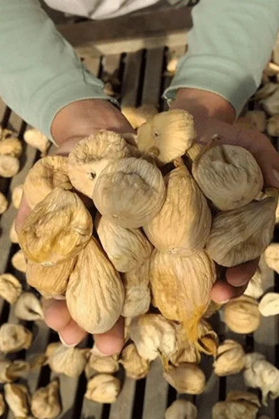Büyük Boy Bandırılmış Aydın Dağ Kuru İncir 1 Kg - Nedim Yıldız Naturel
