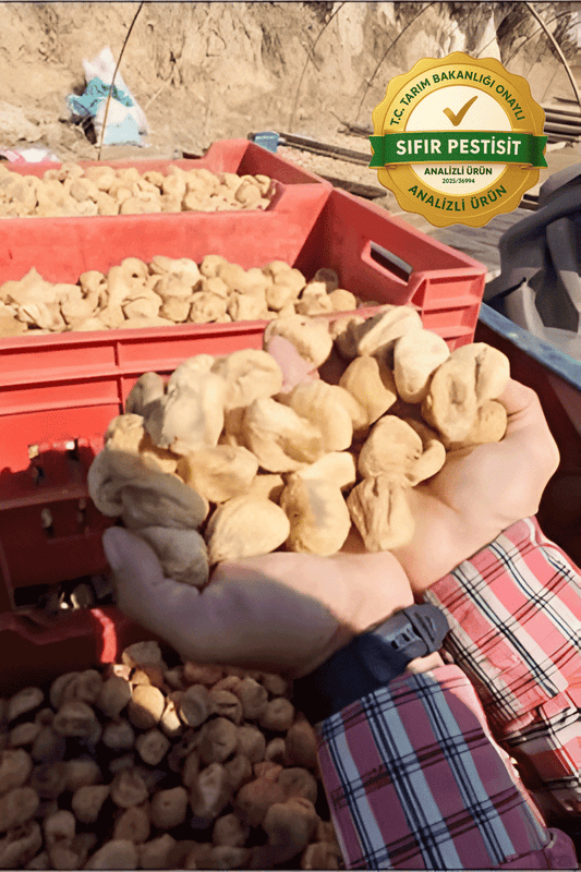 Orta Boy Aydın Dağ Kuru İncir 1 Kg - Nedim Yıldız Naturel